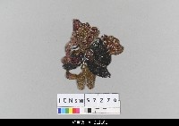 藏品(中國湖北皮影戲偶頭-淨)的圖片